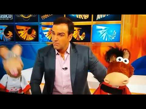 Muito engraçado, segue o líder! Cavalinhos do Fantástico dia 05/08/18.