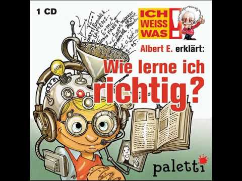 Albert E. erklärt: Wie lerne ich richtig