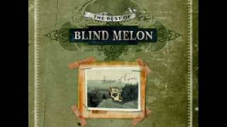 Blind Melon Soak The Sin (Live)