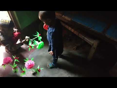 Flowers 13 Feb 2021 Adiba