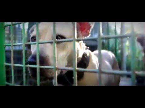 Monogamija - Iron Line ( Official Video HD)