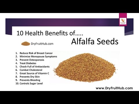Health Benefits of Alfalfa Seeds