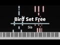Bird Set Free - Sia [Piano Tutorial]