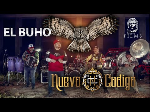 Nuevo Codigo - El Buho "En Vivo"