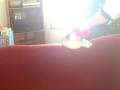 12 25 08Sing VID00009