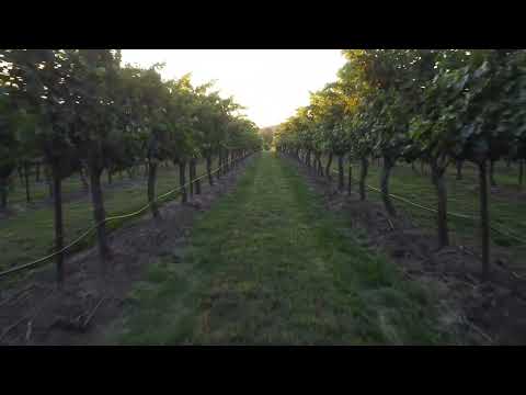 Robert Stein Winery, Vineyard and Farm