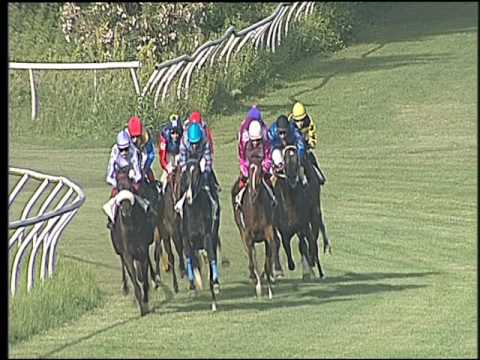 Galoppo 17/06/2016 - 5° corsa