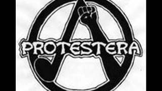 Protestera - Direkt aktion (punk Sweden)