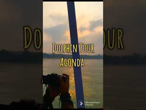 Gorgeous Goa #goa #holiday #agondabeach #bagabeach #backwater