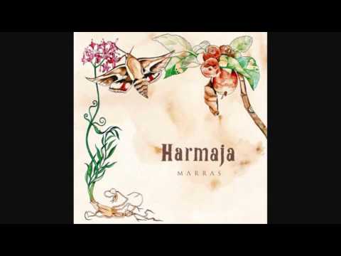 Harmaja - Vieras