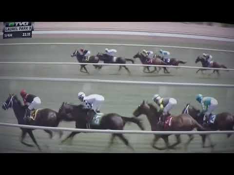 CAVEAT STAKES ($75,000) JUST HOWARD !!!