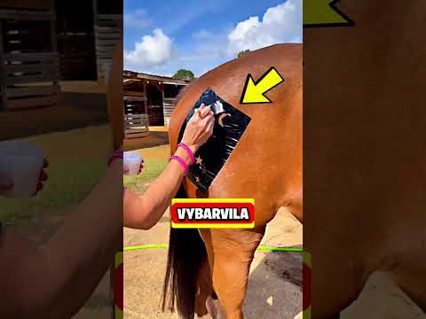 NEČEKANÉ VĚCI!😱 #shorts #fakta #zajimavosti