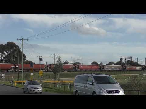 C504 C507 4911 4532 On Grain near Laverton