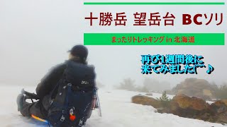「 十勝岳 望岳台 BCソリ 2025年5月11日 」 まったりトレッキング in 北海道