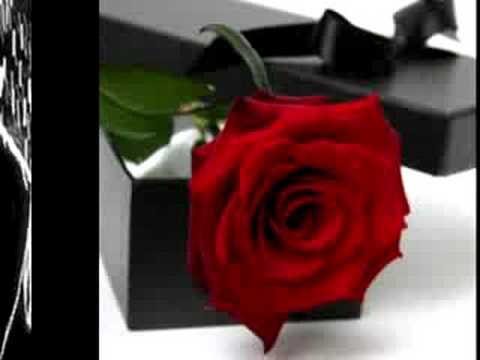 Grupo Miramar- Tu No Me Quieres