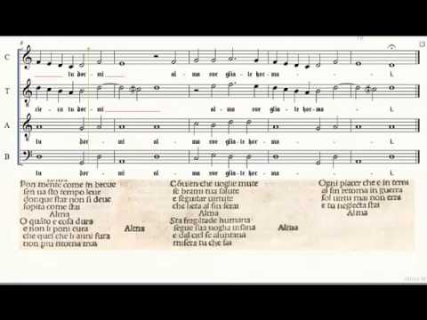 Joannes Brocchus Veronensis - Alma Svegliate Hormai