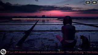 Lofi Chill Zone 24/7: Hip Hop Beats to Study, Relax, & Unwind 🎧📚✨ #studymusic #lofi #lofimusic