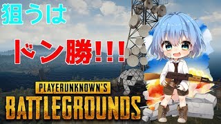 てすと