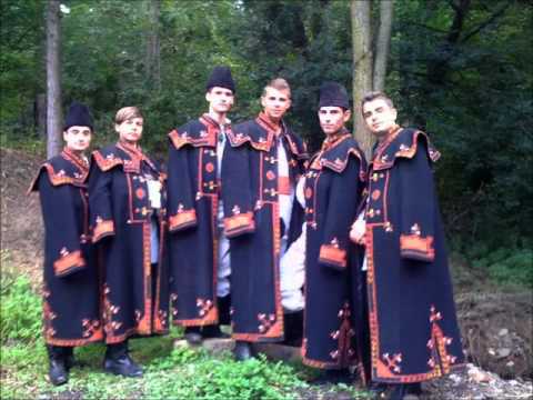 orasul Videle, judetul Teleorman