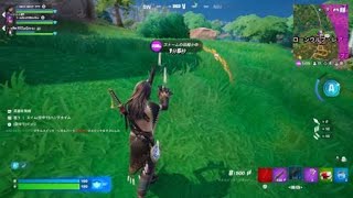 Fortnite_20250628193805
