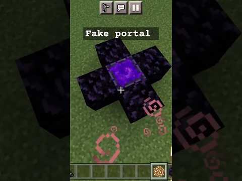 Alone Gamer finds secret portal in Minecraft