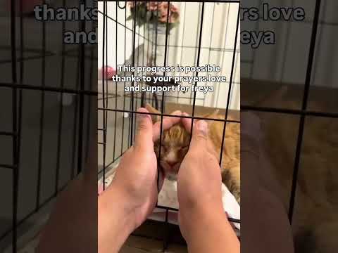 Please consider donating links in bio#florida #ohio