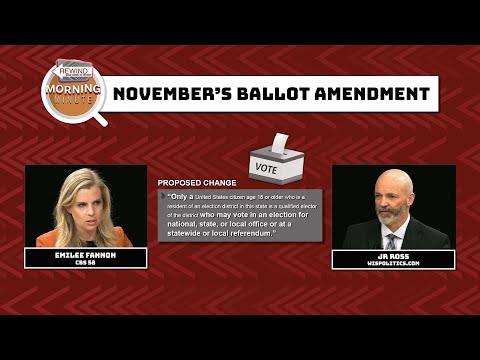 WisEye Morning Minute: November’s Ballot Amendment