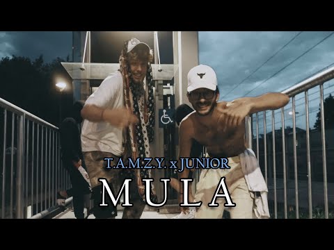 T.A.M.Z.Y. x JunioR - MULA (Official Video)