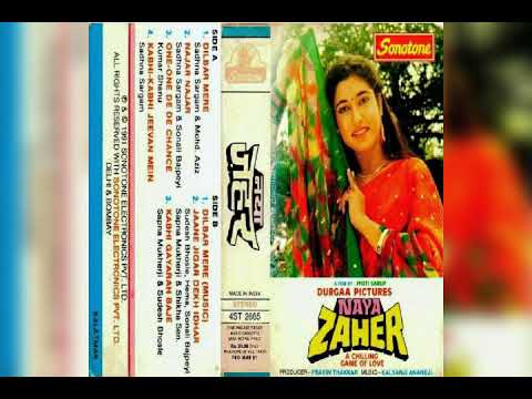 Dilbar Mere Tere Vaste || Mohammad Aziz & Sadhna Sargam || Naya Zaher 1991