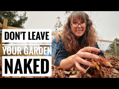 Final Step Every Gardener Should Take | Strawbale Garden Wrapup