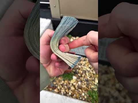 How to Count Money Fast & Efficiently! 💵💰