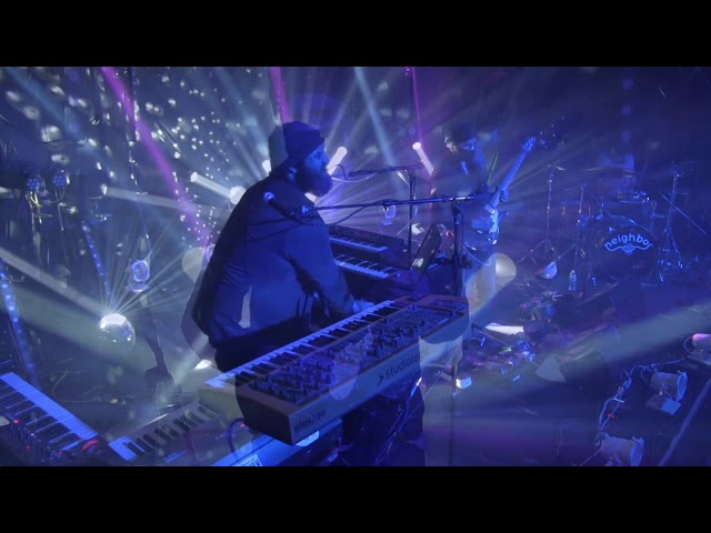 We Need You > Pine Tree Video