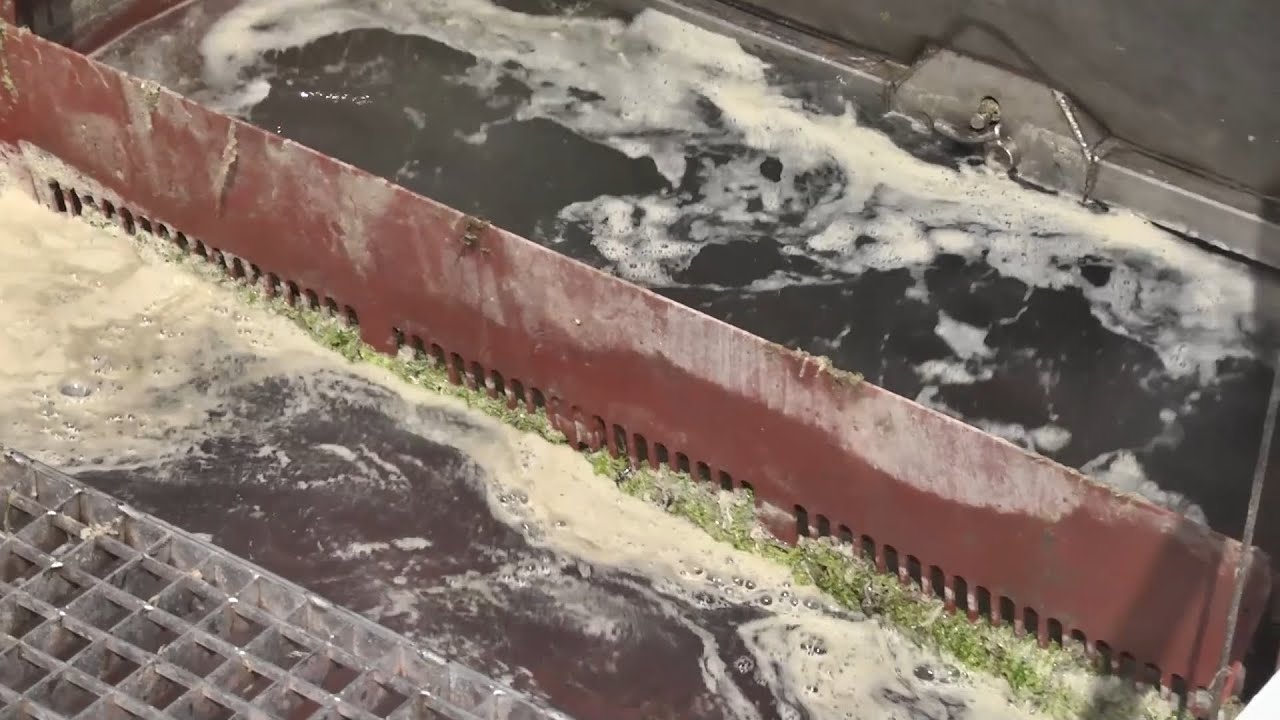 Sube en el mes de julio la recogida de residuos en el mar