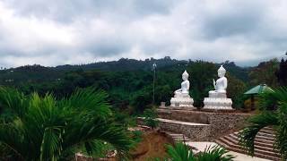 Twin Buddha Statue Landmark North of Bali Monastery Indonesia