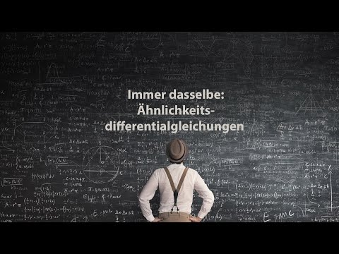 Immer dasselbe: Ähnlichkeitsdifferentialgleichungen