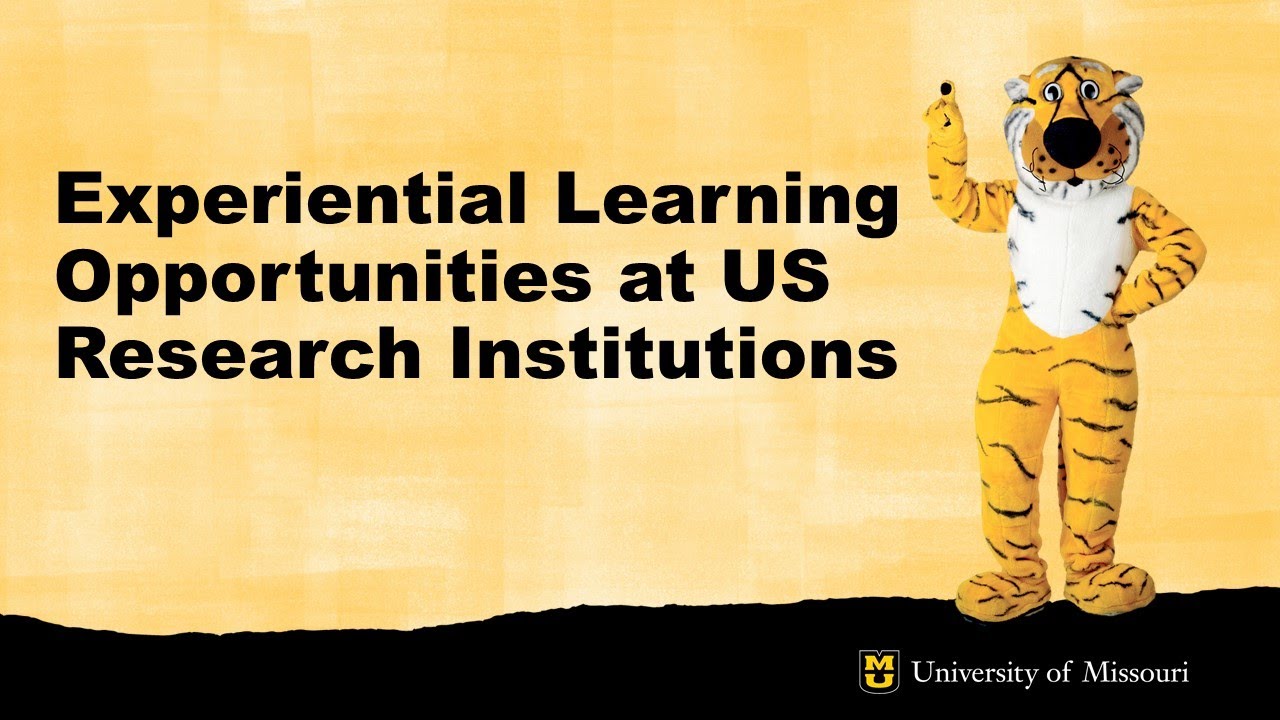 Experiential Learning Opportunities - Session 1