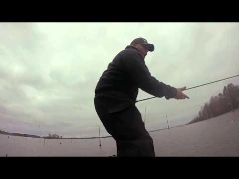 GoPro: Joshua Foster - Louisiana 3.19.15 - Fish