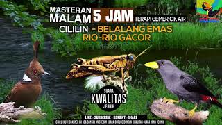 Download lagu REQUEST MASTERING #21...DURASI 5 JAM MASTERAN MALAM CILILIN BELALANG EMAS RIO-RIO GACOR JEDA 4 MENIT mp3 Download lagu REQUEST MASTERING #21...DURASI 5 JAM MASTERAN MALAM CILILIN BELALANG EMAS RIO-RIO GACOR JEDA 4 MENIT mp3