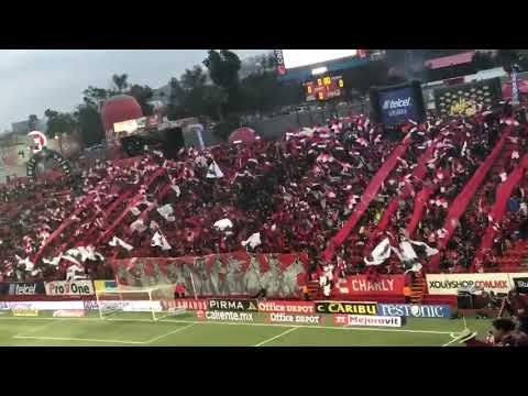 "El mejor recibimiento de Xolos Tijuana (2018)" Barra: La Masakr3 • Club: Tijuana