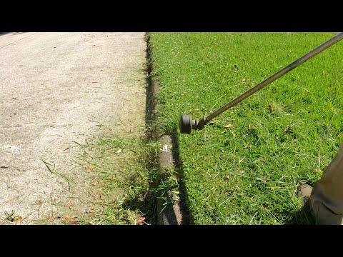 Lawn Mowing ▶5