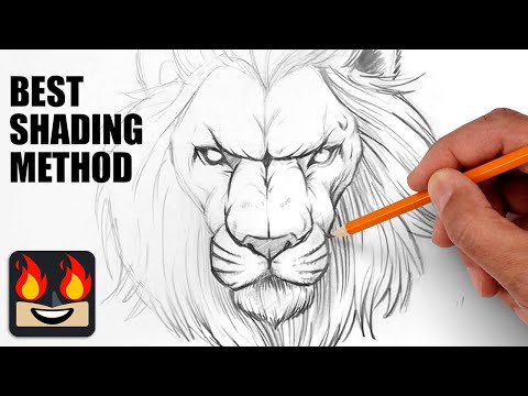 How To Draw a Lion | Step by Step Sketch Tutorial