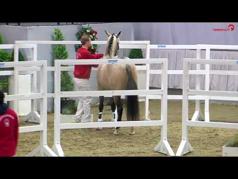 Video von Da Silva AT