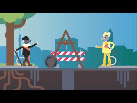 Arnhem restaureert het hoofdriool: onder de grond zonder overlast