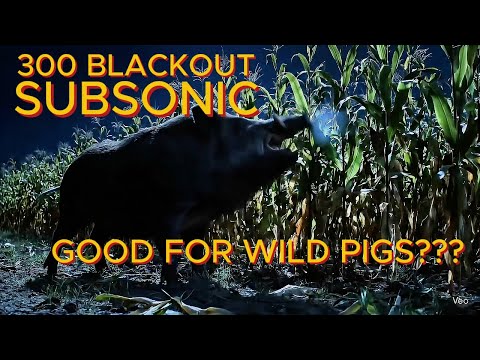 300 BLACKOUT SUBSONIC GOOD FOR WILD PIGS???