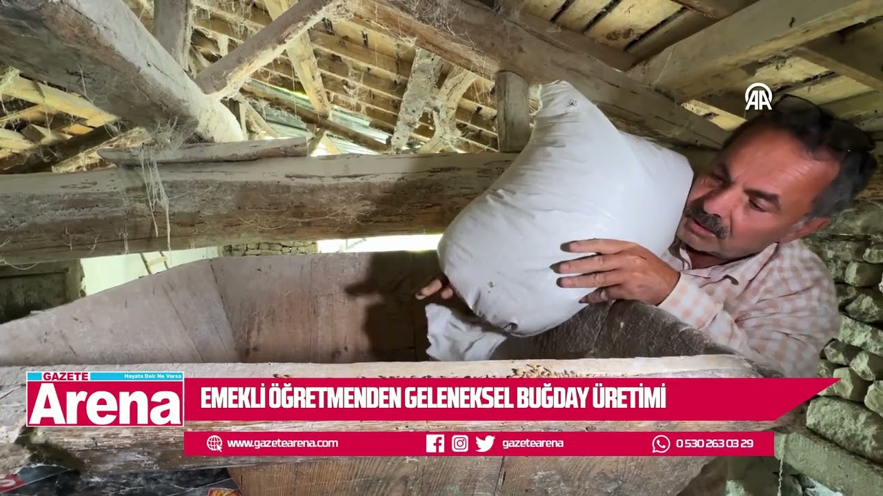 Emekli öğretmenden geleneksel buğday üretimi
