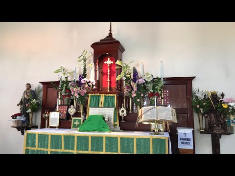 Live Traditional Latin Mass Sunday 8th November, 2020 at St Anne’s - 23rd After Pentecost