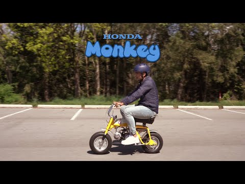 Is 1968 HONDA Z50 more Fun to Ride than a Modern Motorcycle? 🏍