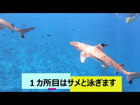 ボラボラ島の地形図。