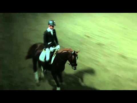 DOMINY Galaabend Rulle Lukas Fischer