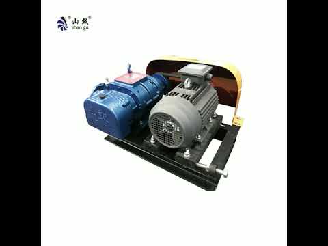 RSR100 rotary blower